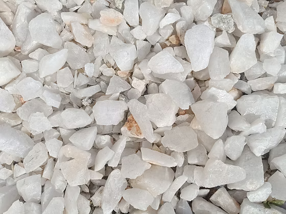 Marimo PetPlant - Kit premium