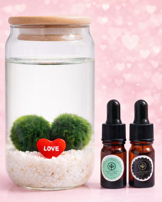 Kit enamorados 💕 - Edición San Valentín