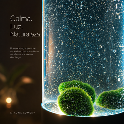 Mikuna Lumen