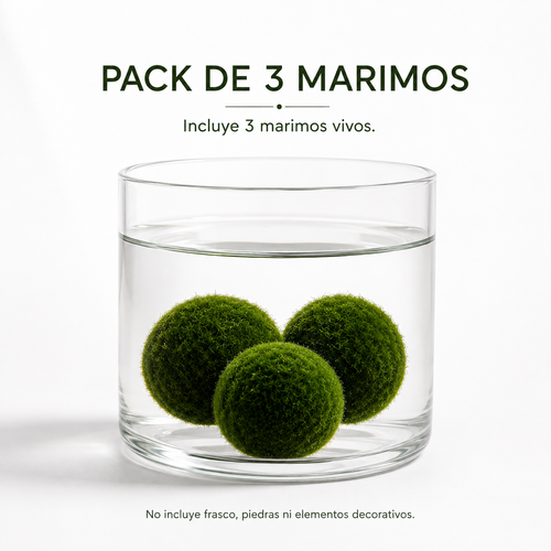 Pack 3 marimos