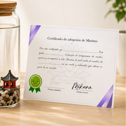 Marimo PetPlant - Kit premium