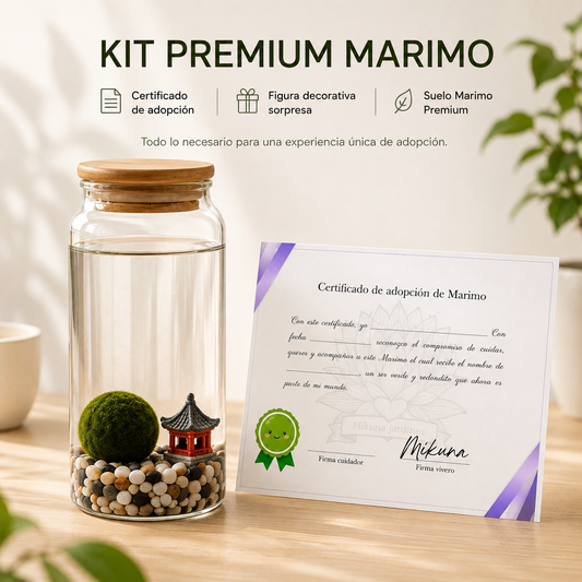 Marimo PetPlant - Kit premium