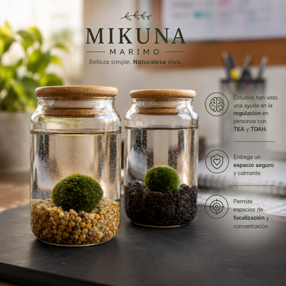 Marimo PetPlant Kit básico