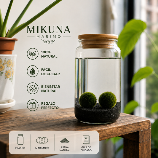 Marimo PetPlant Kit básico